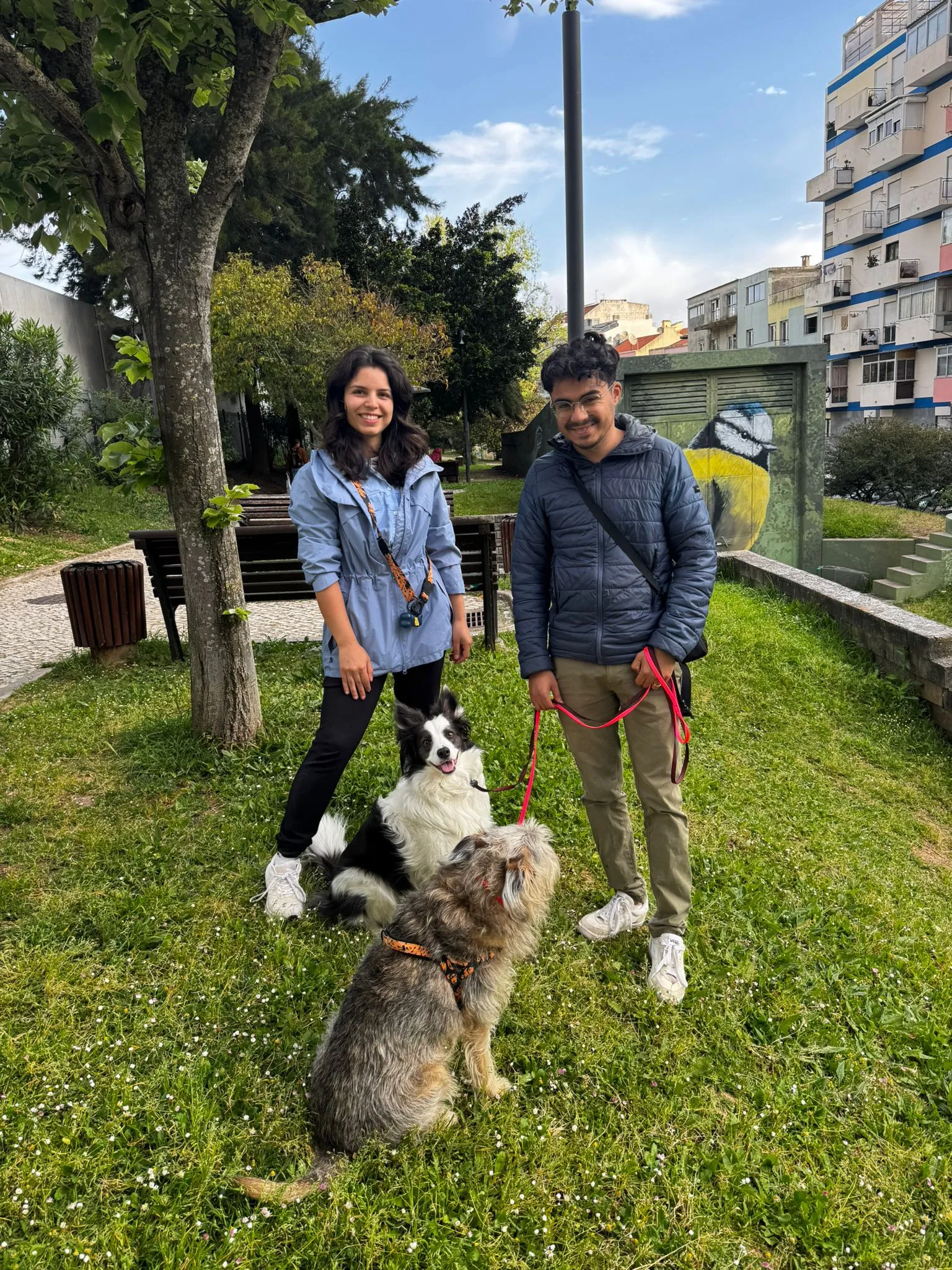 Trabalho com Cães